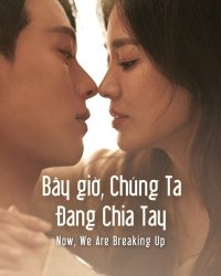 Bây Giờ, Chúng Ta Đang Chia Tay