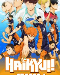 Vua Bóng Chuyền Haikyuu (Phần 1)