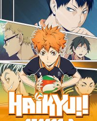 Vua Bóng Chuyền Haikyuu (Phần 2)