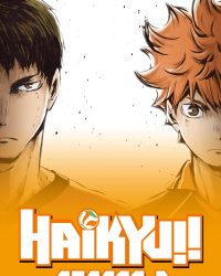 Vua Bóng Chuyền Haikyuu (Phần 3)